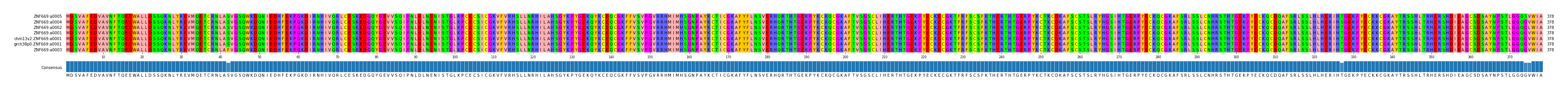Multiple Alignments (by translate haplotype similarity)