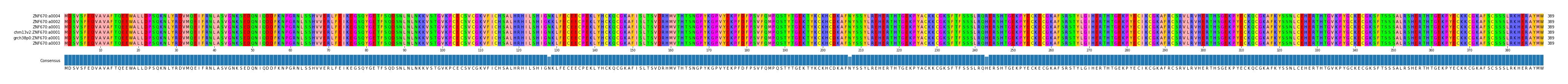Multiple Alignments (by translate haplotype similarity)