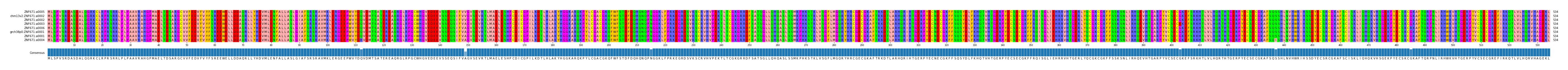 Multiple Alignments (by translate haplotype similarity)