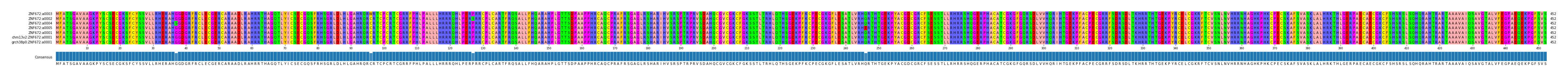Multiple Alignments (by translate haplotype similarity)