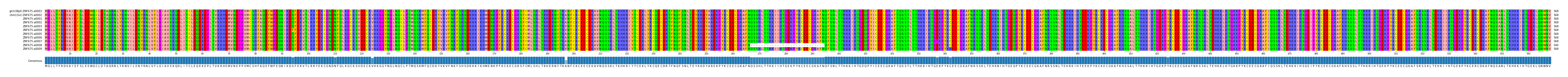 Multiple Alignments (by translate haplotype frequency)