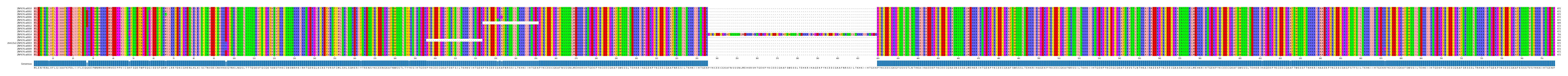 Multiple Alignments (by translate haplotype similarity)