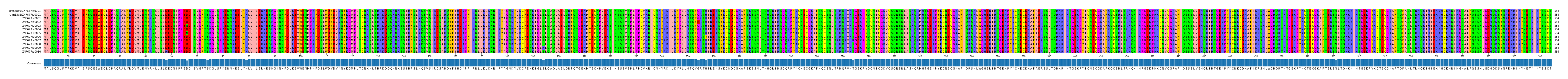 Multiple Alignments (by translate haplotype frequency)