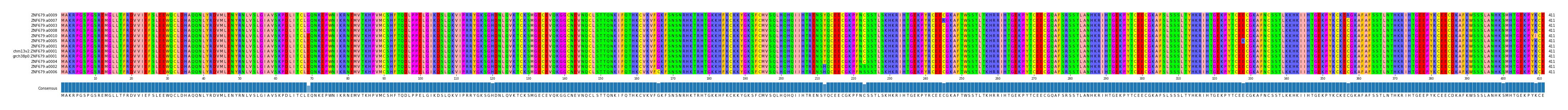 Multiple Alignments (by translate haplotype similarity)