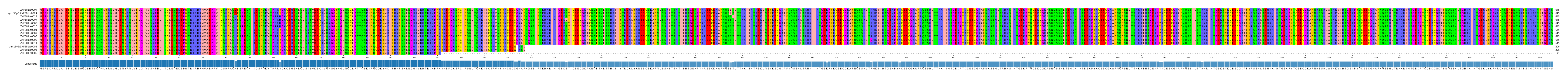 Multiple Alignments (by translate haplotype similarity)