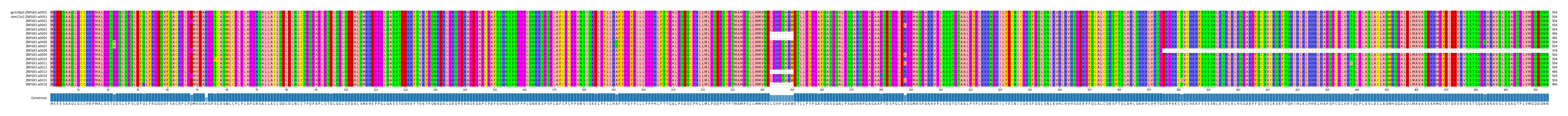 Multiple Alignments (by translate haplotype frequency)
