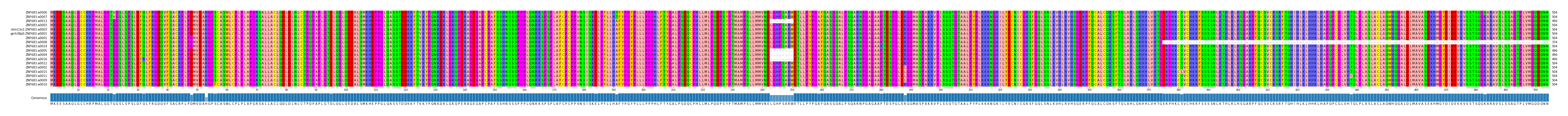 Multiple Alignments (by translate haplotype similarity)