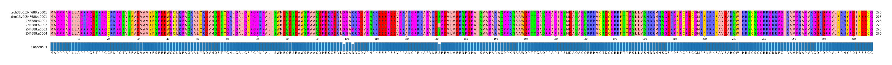 Multiple Alignments (by translate haplotype frequency)