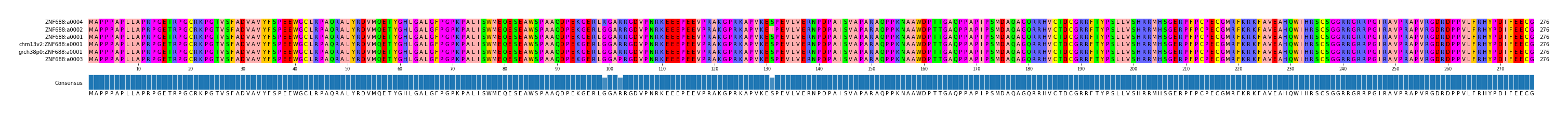 Multiple Alignments (by translate haplotype similarity)