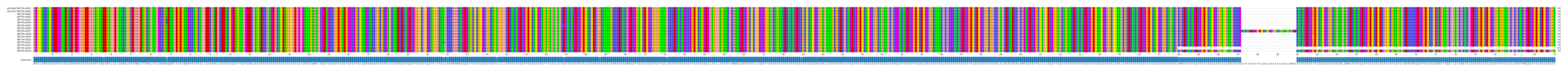 Multiple Alignments (by translate haplotype frequency)