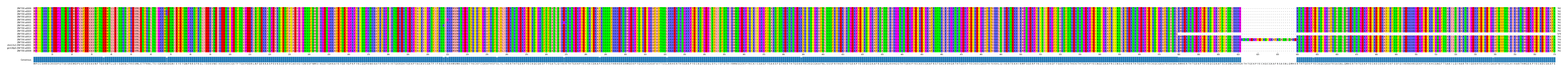 Multiple Alignments (by translate haplotype similarity)
