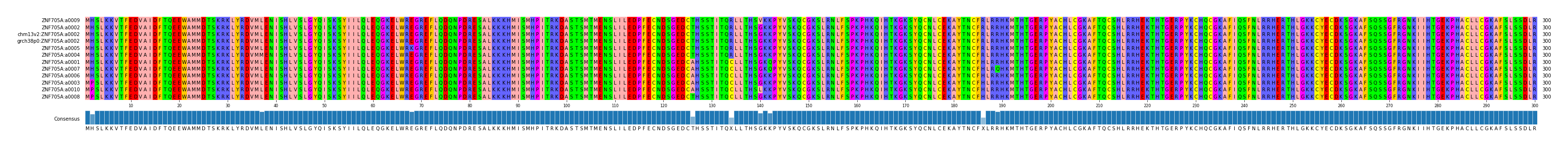 Multiple Alignments (by translate haplotype similarity)