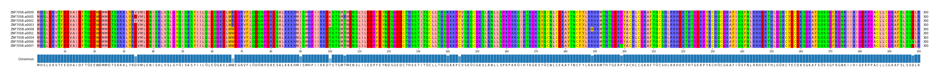 Multiple Alignments (by translate haplotype similarity)