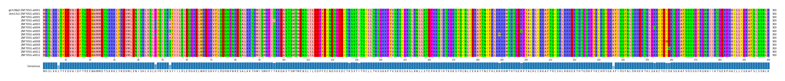 Multiple Alignments (by translate haplotype frequency)
