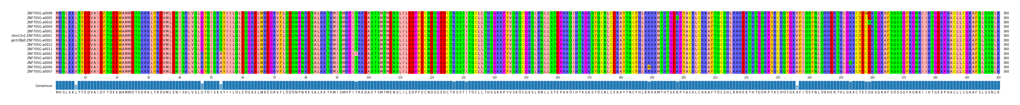 Multiple Alignments (by translate haplotype similarity)