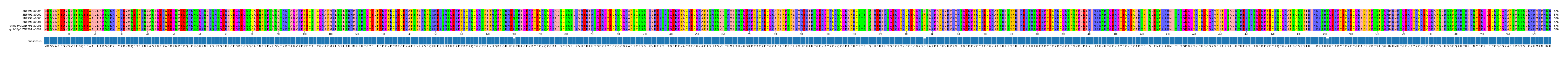 Multiple Alignments (by translate haplotype similarity)