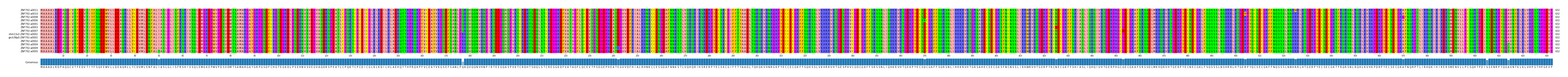 Multiple Alignments (by translate haplotype similarity)