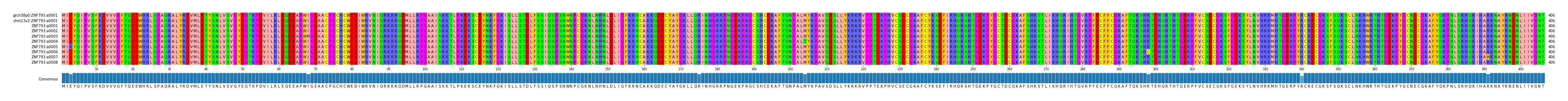 Multiple Alignments (by translate haplotype frequency)