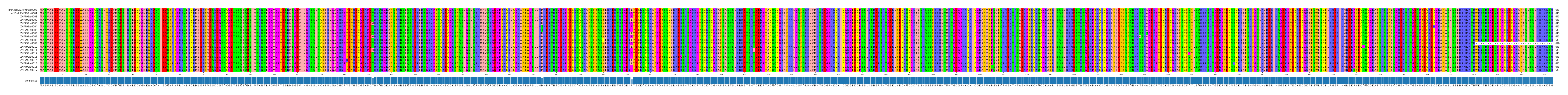 Multiple Alignments (by translate haplotype frequency)