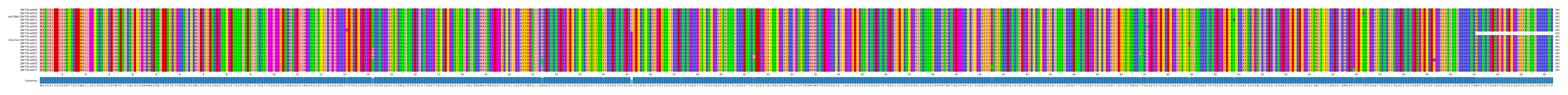 Multiple Alignments (by translate haplotype similarity)