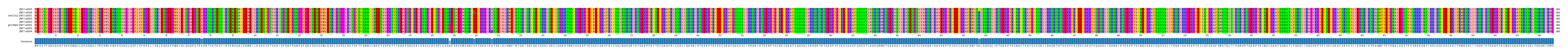 Multiple Alignments (by translate haplotype similarity)
