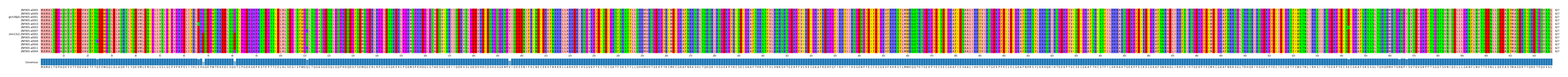 Multiple Alignments (by translate haplotype similarity)