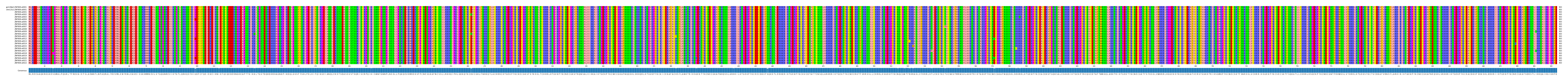 Multiple Alignments (by translate haplotype frequency)