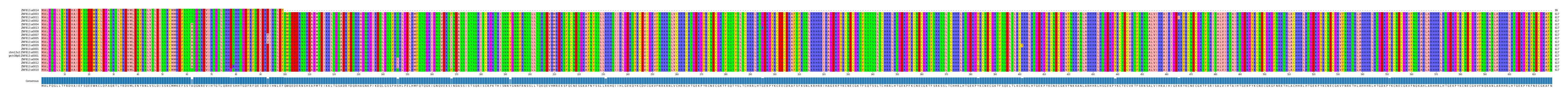 Multiple Alignments (by translate haplotype similarity)