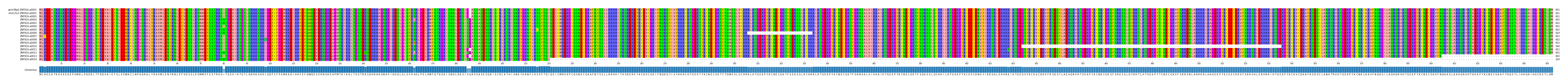 Multiple Alignments (by translate haplotype frequency)