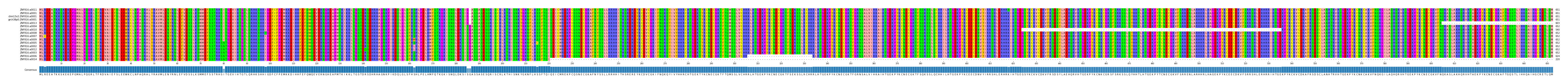 Multiple Alignments (by translate haplotype similarity)