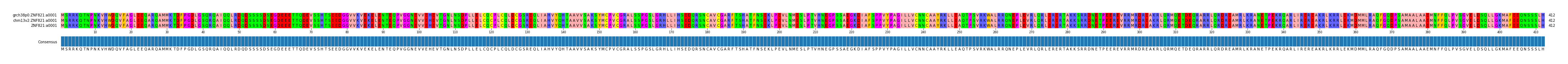 Multiple Alignments (by translate haplotype similarity)