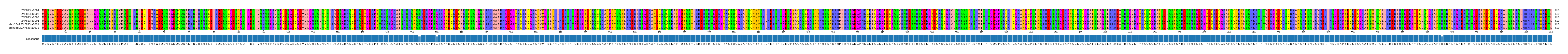Multiple Alignments (by translate haplotype similarity)