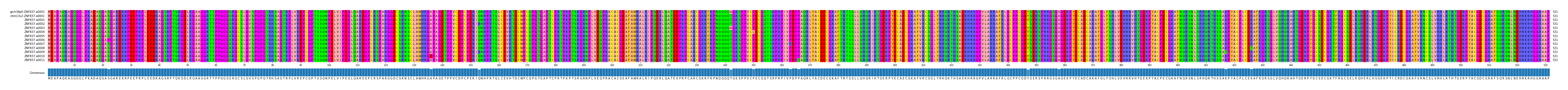 Multiple Alignments (by translate haplotype frequency)