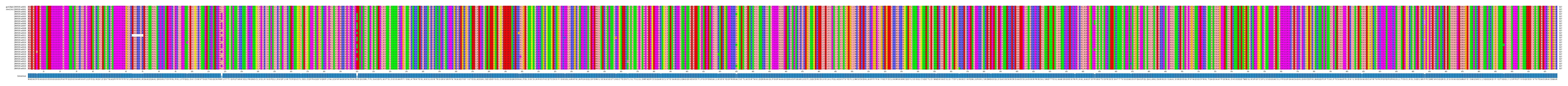 Multiple Alignments (by translate haplotype frequency)