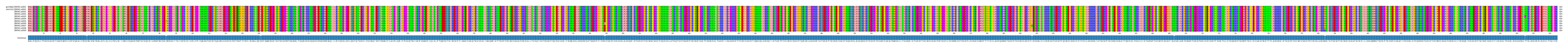 Multiple Alignments (by translate haplotype frequency)