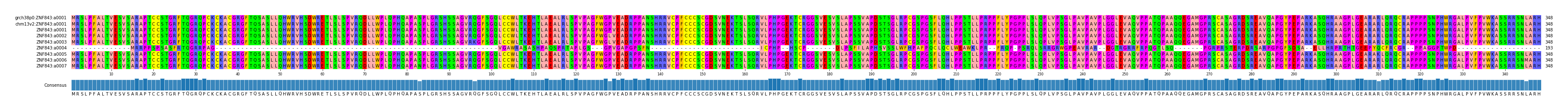 Multiple Alignments (by translate haplotype frequency)