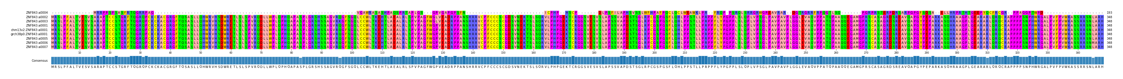 Multiple Alignments (by translate haplotype similarity)