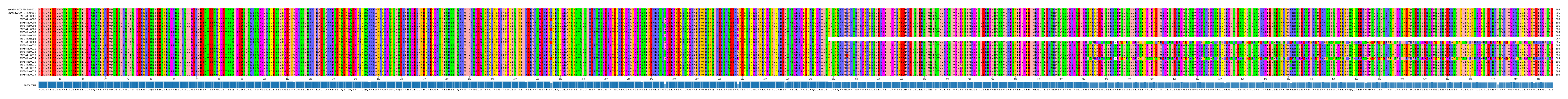 Multiple Alignments (by translate haplotype frequency)