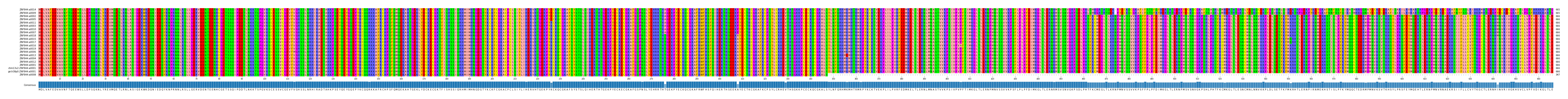 Multiple Alignments (by translate haplotype similarity)