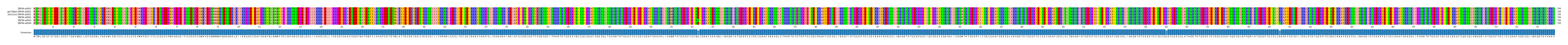 Multiple Alignments (by translate haplotype similarity)