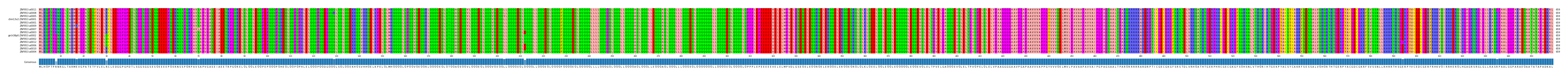Multiple Alignments (by translate haplotype similarity)