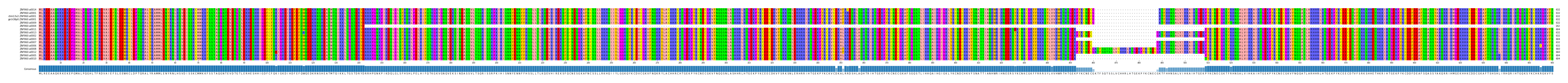 Multiple Alignments (by translate haplotype similarity)