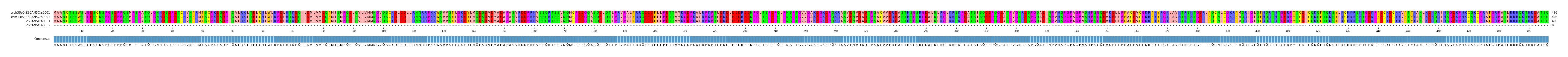 Multiple Alignments (by translate haplotype similarity)