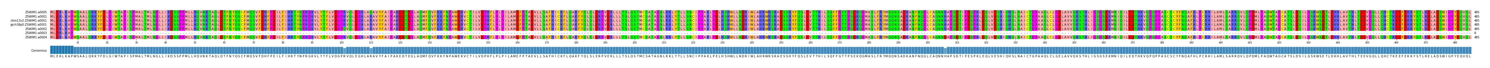 Multiple Alignments (by translate haplotype similarity)