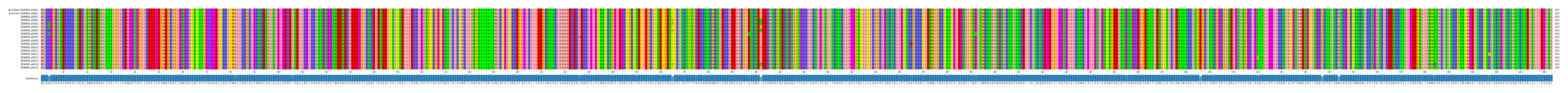 Multiple Alignments (by translate haplotype frequency)