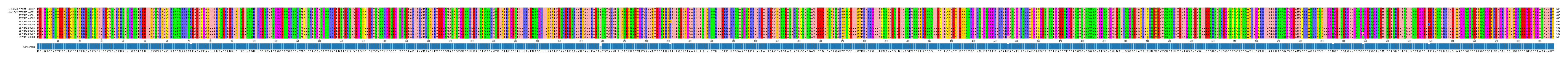 Multiple Alignments (by translate haplotype frequency)