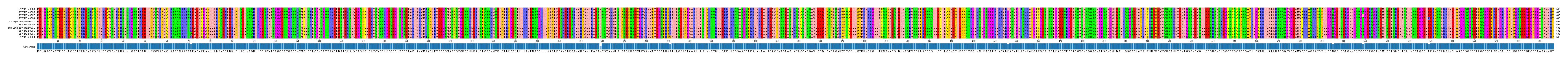 LD (by translate haplotype similarity)
