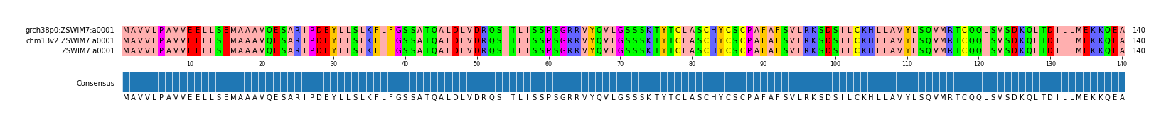 Multiple Alignments (by translate haplotype similarity)