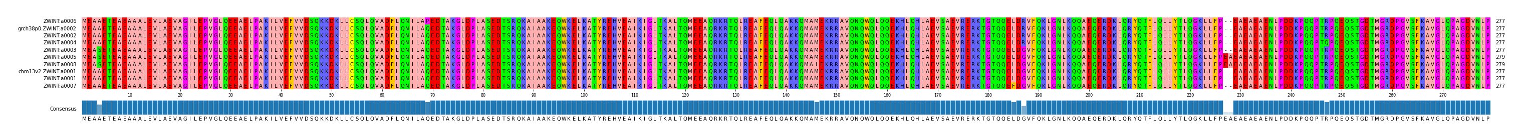 Multiple Alignments (by translate haplotype similarity)