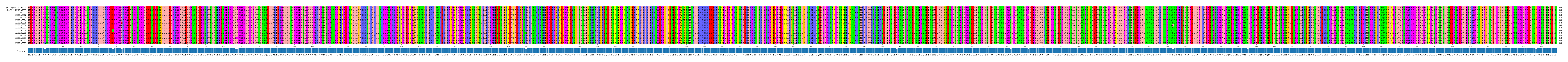 Multiple Alignments (by translate haplotype frequency)